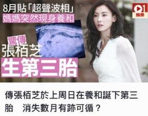 爆料生五胎网红是谁啊视频,网红五胎之谜，她是如何做到的？