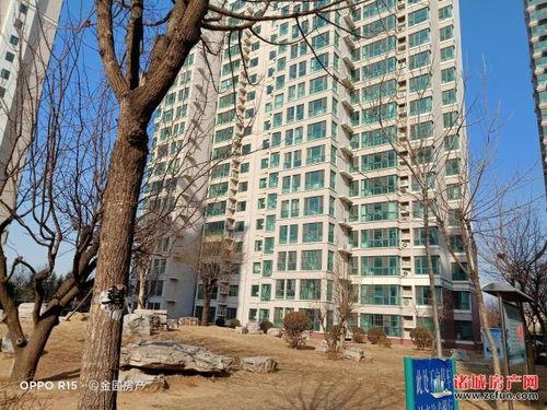 诸城半岛爆料最新消息今天,今日热点事件深度解析