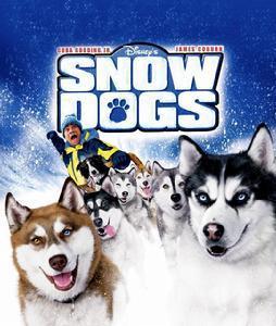 冰狗任务在线观看,在线观看，揭秘极地冒险之旅