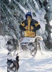 冰狗任务在线观看,在线观看,揭秘极地冒险之旅 第3张 冰狗任务在线观看,在线观看,揭秘极地冒险之旅 第3张