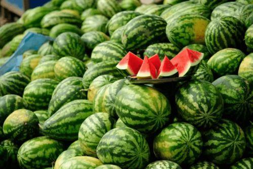 吃日本瓜的网红叫什么,揭秘“吃日本瓜”网红的爆红之路